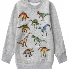 Fiúk Dinosaur Print Hosszú Ujjú Kerek Nyakú Pulóver